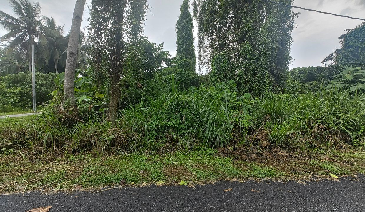Tanah_Corner_Lot_Teluk_Penchalang_Manjung_7